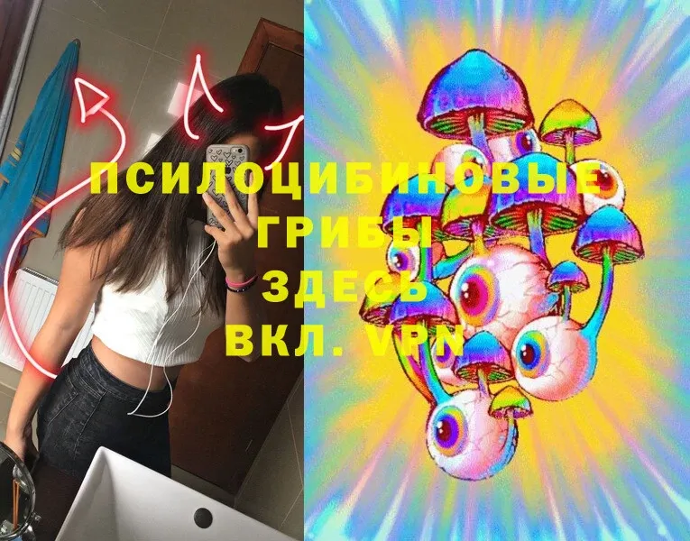 ссылка на мегу ссылка  Дмитриев  Псилоцибиновые грибы Psilocybine cubensis 